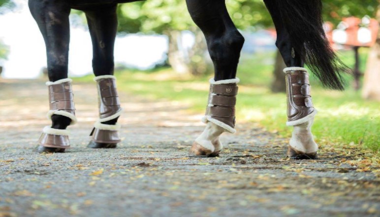 Leg Protection for Performance Horses: A Guide on Leg Wraps and Boots