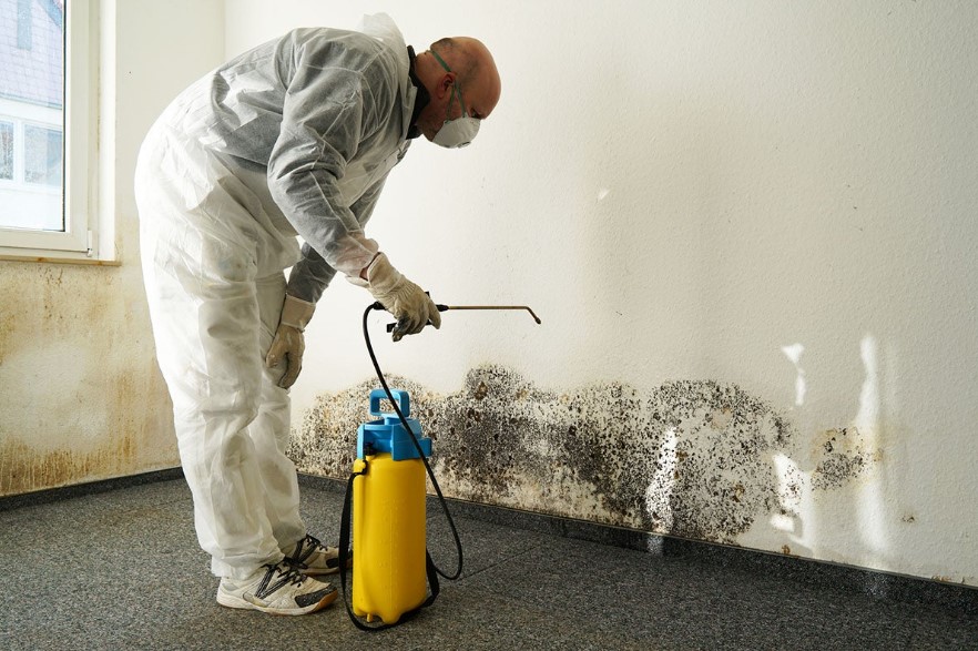 The Importance of Sound Mold Remediation