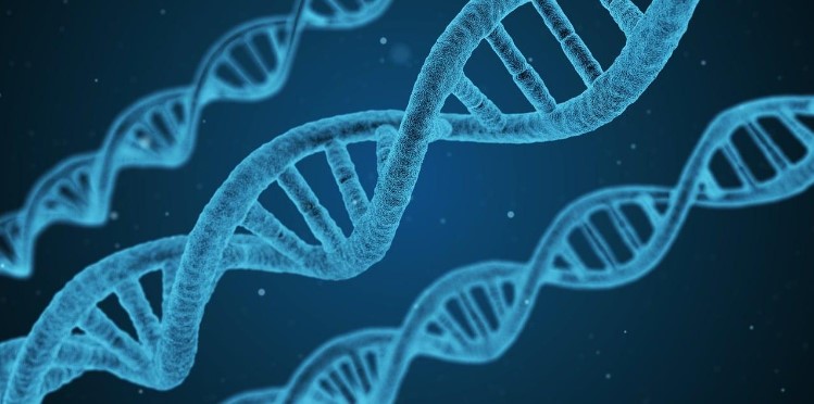 How to obtain citizenship through DNA?