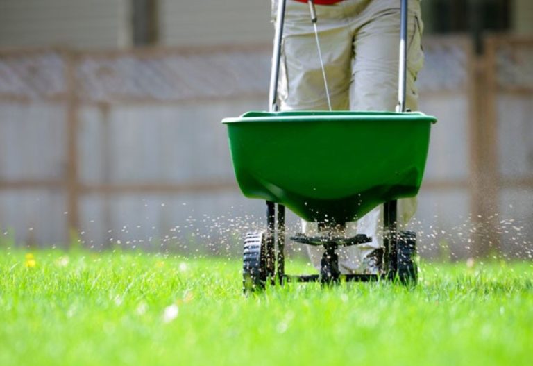 Understanding the different types of lawn products