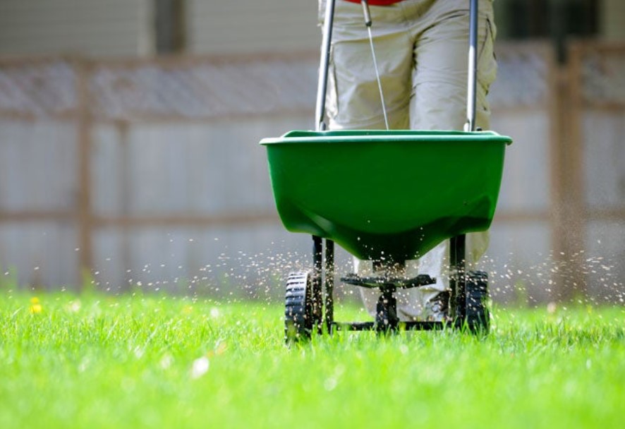 Understanding the different types of lawn products